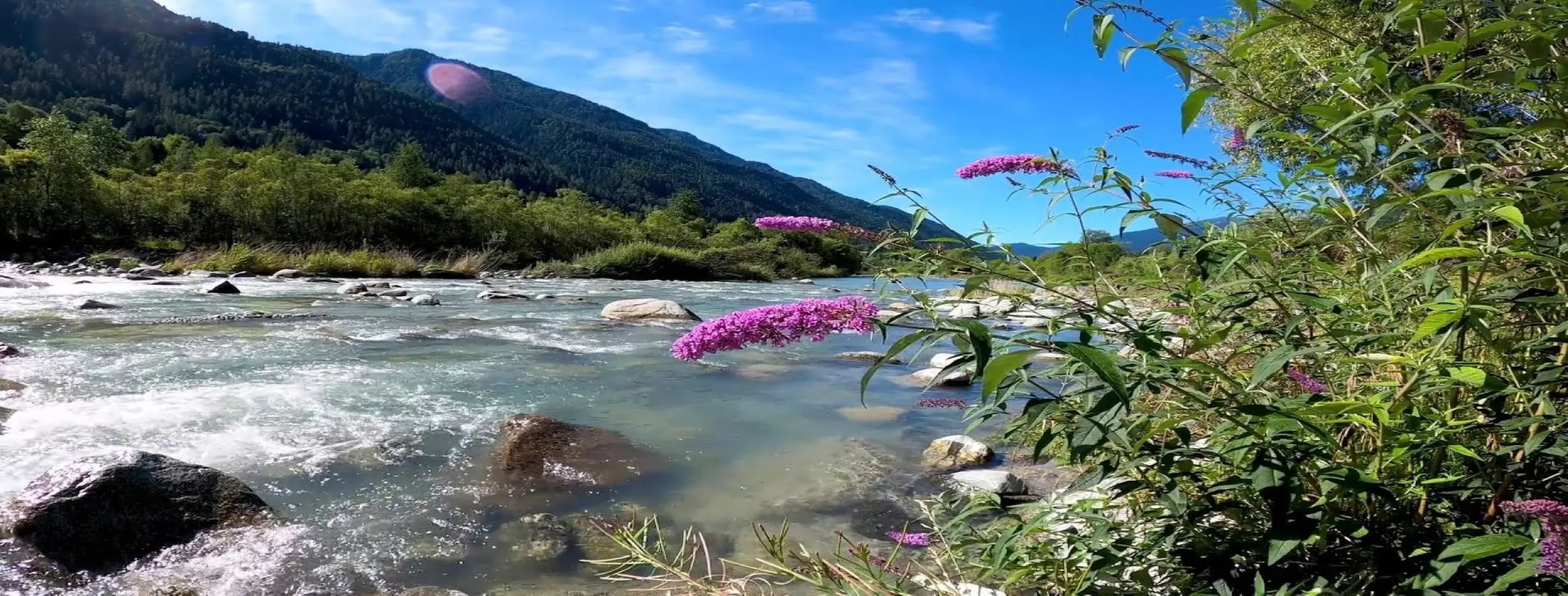 Image for Riverside Relaxation